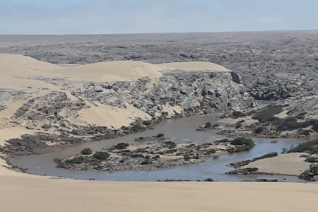 Skeleton Coast