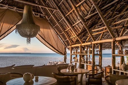 Wild Tanzania Luxury Safari