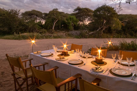Wild Tanzania Luxury Safari