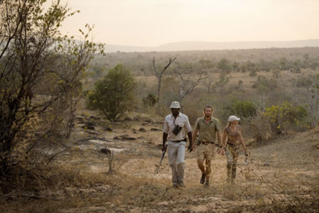 Wild Tanzania Luxury Safari